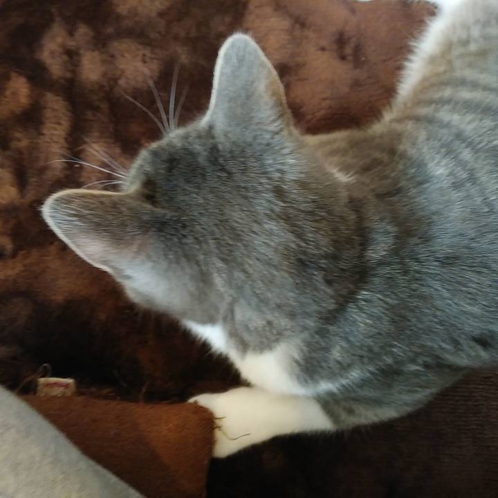 Fe613bc3 e7b4 4c52 9fa6 7fd5303fe2e0 1574127777963