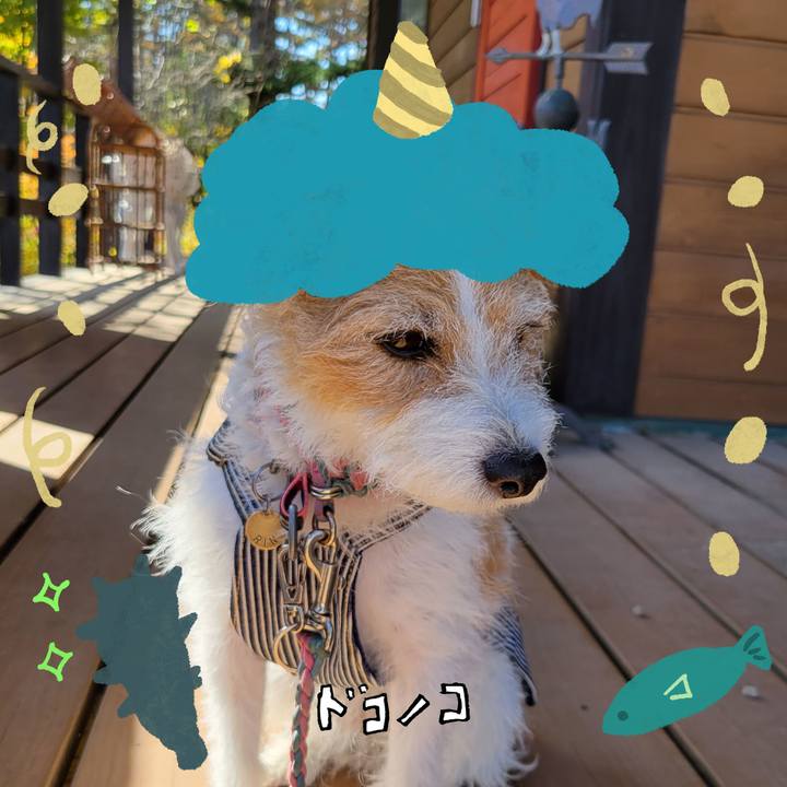 Fe613bd8 7150 40cc 90bd 5fdba9f96c71 1706848958827