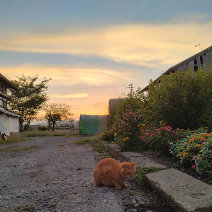 Fe617efc d7ed 4243 83e6 5724df81ac86 1695588538951