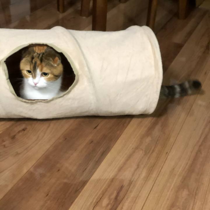 Fe61e3ef ead9 4d0a a420 f275fadf5362 1611580754373