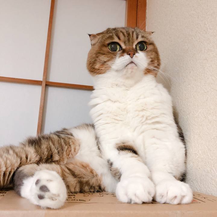 Fe61e48b a385 4076 b977 3119e1ff3081 1580476867105