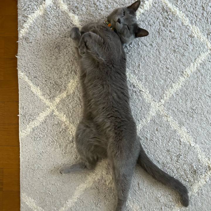 Fe620d8c 507c 45fb 9119 05758a4a57a9 1755562805640