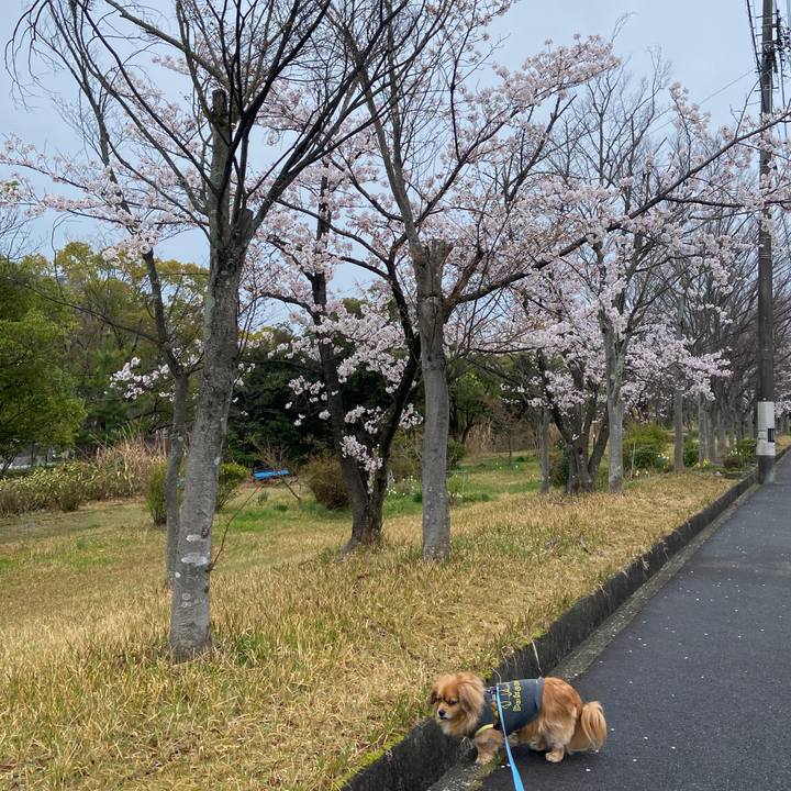 Fe621738 115f 42dd ad2c 8042034db709 1648940331379