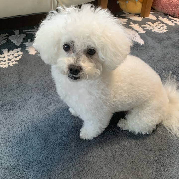 Fe623146 8c53 4482 90cb c92bd8ddd1a1 1636626776073