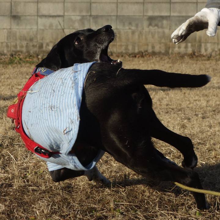 Fe623c8f c198 401b a6ca 46e113212943 1673573879422