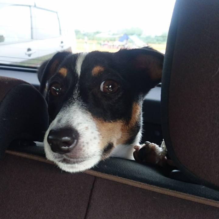 Fe623cff 0e53 47b3 9267 cd9374017c66 1534667939337