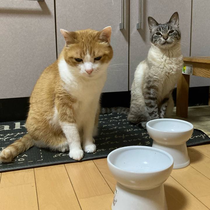 Fe62a2c3 70a7 4afa 89d5 6493643a3136 1756596996238