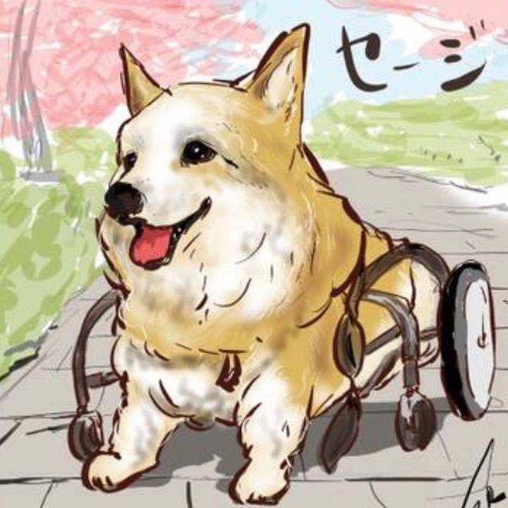 Fe62d113 c9ce 4049 aeda b104471df5d8 1660053089874