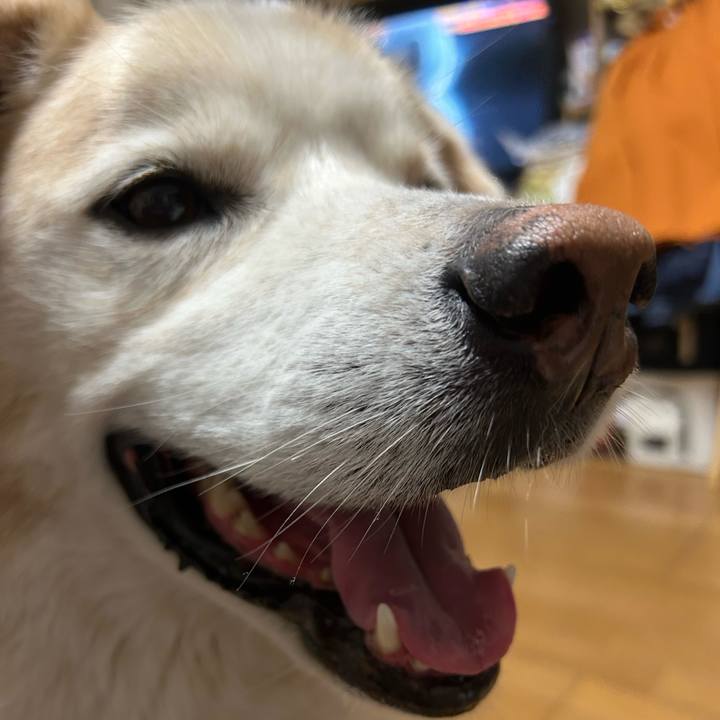 Fe631685 8661 47ec 85ed 2730c5072593 1691039470251