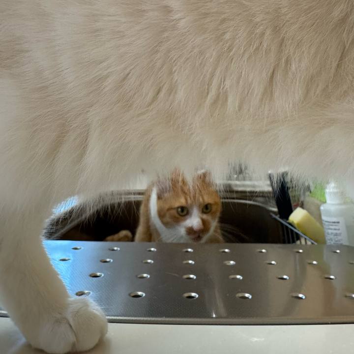 Fe6330c6 fa38 469e ac57 4f41e7431fe1 1763774393273