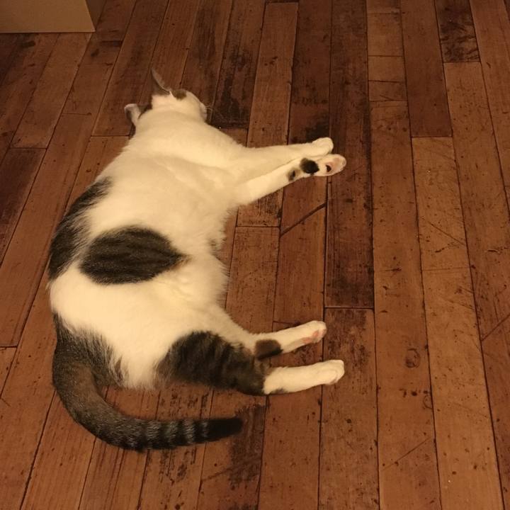 Fe63384a 6035 41ba 8e78 a1d2ae9f8a05 1531919834807