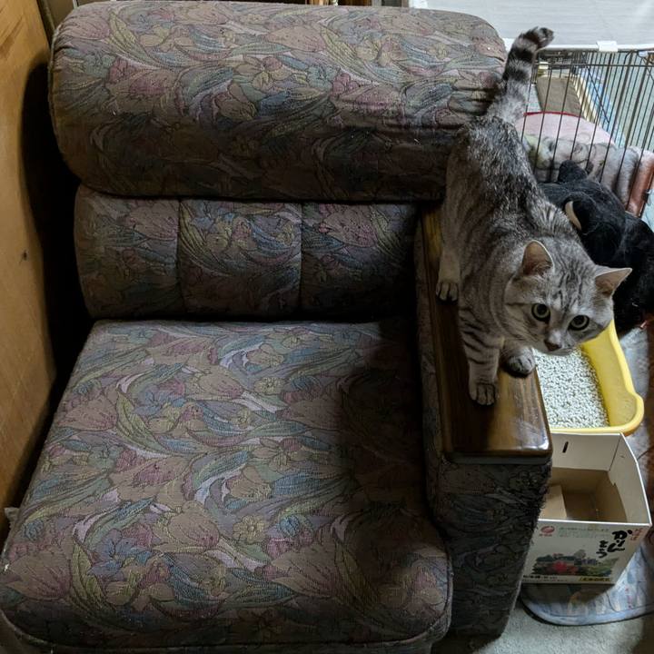 Fe6350a2 a1bd 4fe8 af34 705f9ac19290 1730730031506