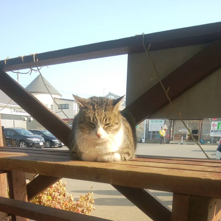 Fe63a189 e68b 4ede acde 1cee7c75aae9 1520168973554