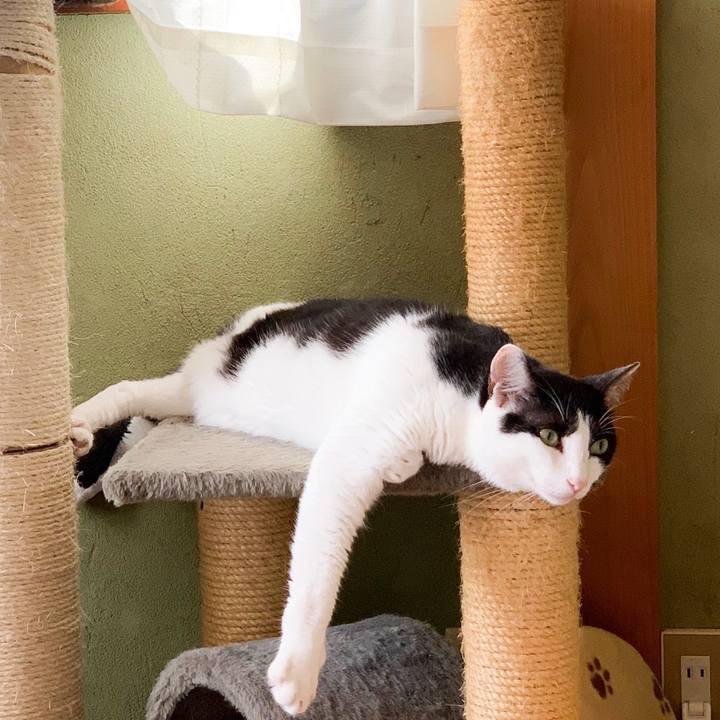 Fe63d9d3 3bd5 4b8b b4a8 9de16c6aa1fd 1567910664616