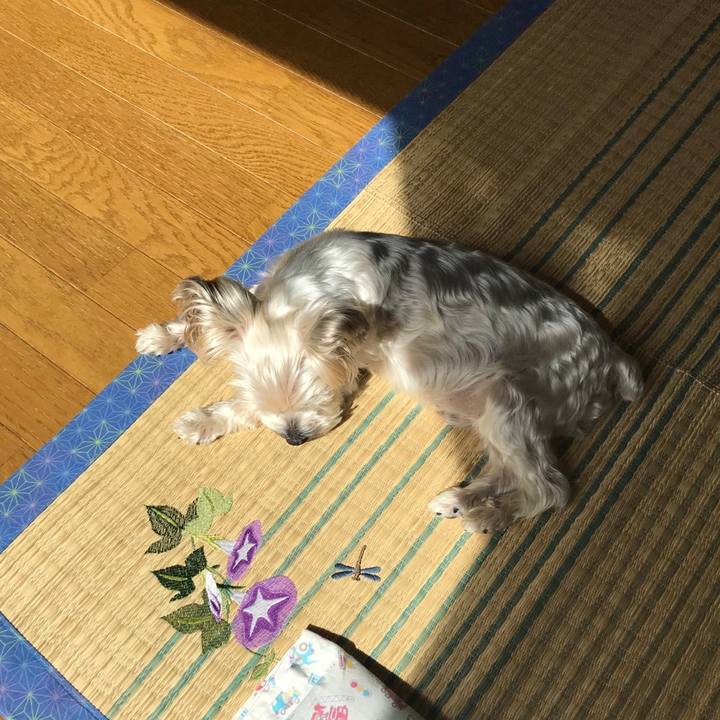 Fe63e0f9 9108 47ba 902e 9c4c5c6bc591 1569313739420