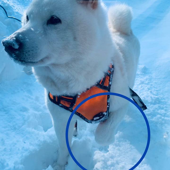 Fe640210 a065 461d a675 99309303fdb3 1675388593662