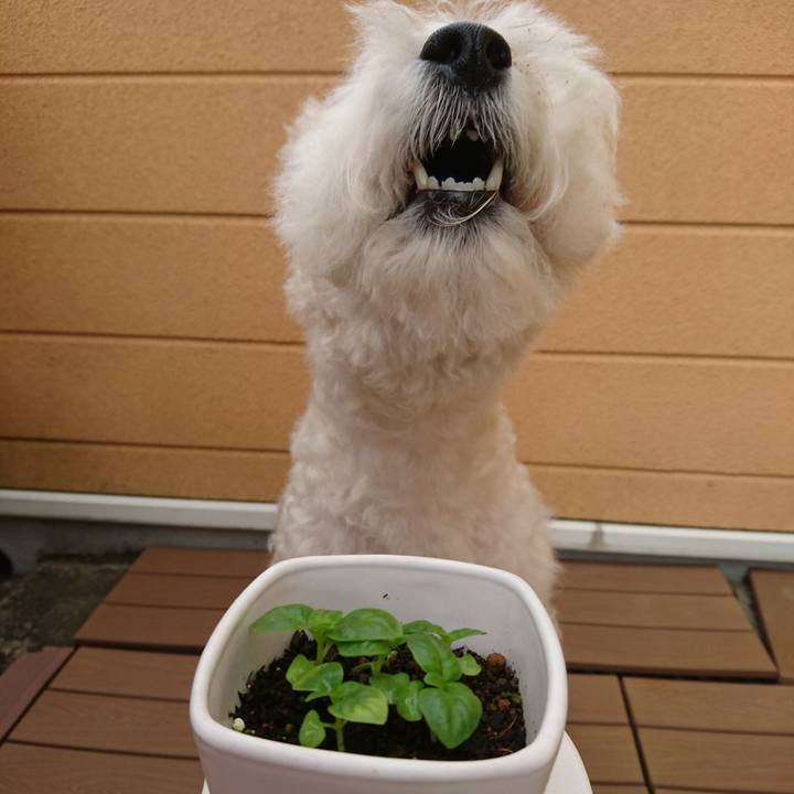 Fe640cb0 f6e2 4c6f 99b2 0db44fbe2c91 1507685942757