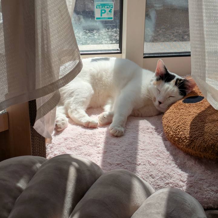 Fe6472eb 22e3 4143 8110 98905ee78ecd 1740634986929