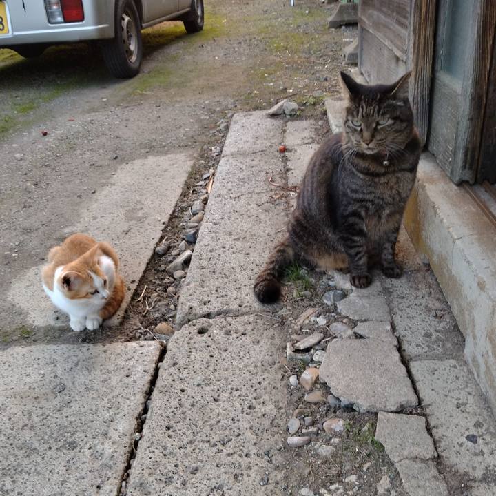 Fe64833a b44b 46b4 a6c4 acd1b9bf0f3f 1727771405059