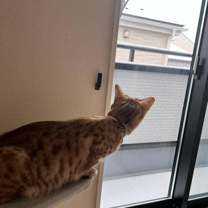 Fe64a720 45a3 4895 a2ad 8dec94cd1b98 1675987857876