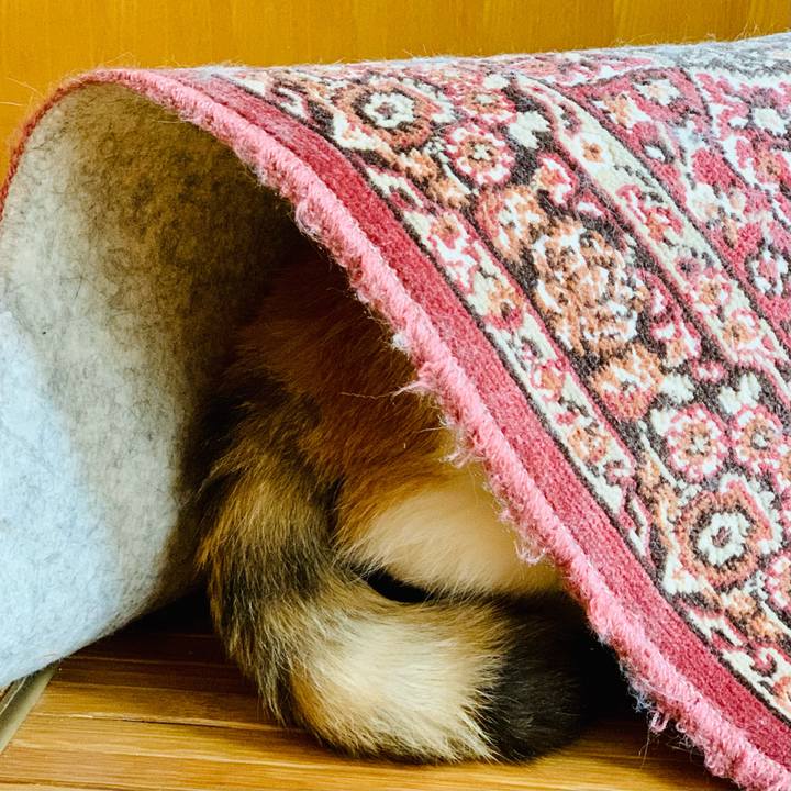 Fe64c762 bf59 43aa 870a 5b3f1922de45 1604280595195