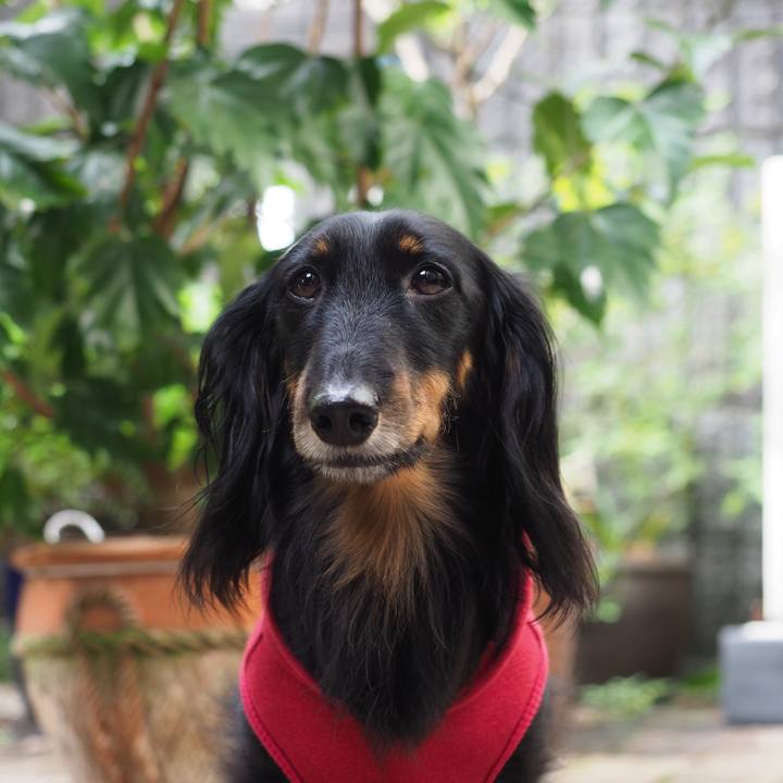 Fe64d083 6e94 4ef0 b3cd 5a65e3089a3e 1603852457873