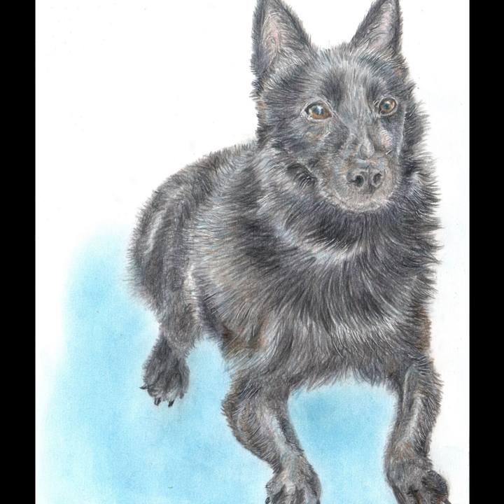 Fe64d6b7 38ec 442b ae47 d447ceddb1b1 1651396985713