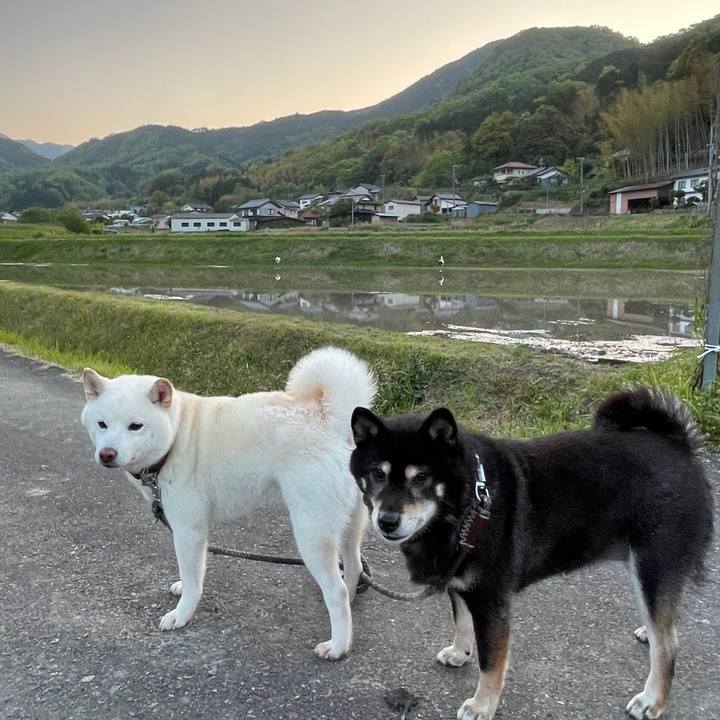 Fe64de66 70f1 4ae8 9f49 be0b4707a7ed 1684596861804