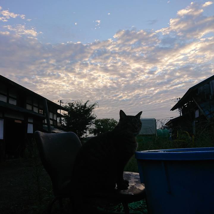 Fe653ff5 947b 442c 850c b16a42c16195 1662670957710