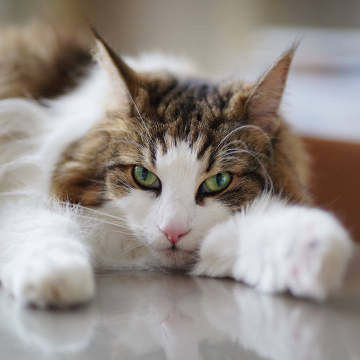 Fe655791 aa38 4337 ae60 05b344cee46b 1662720610438