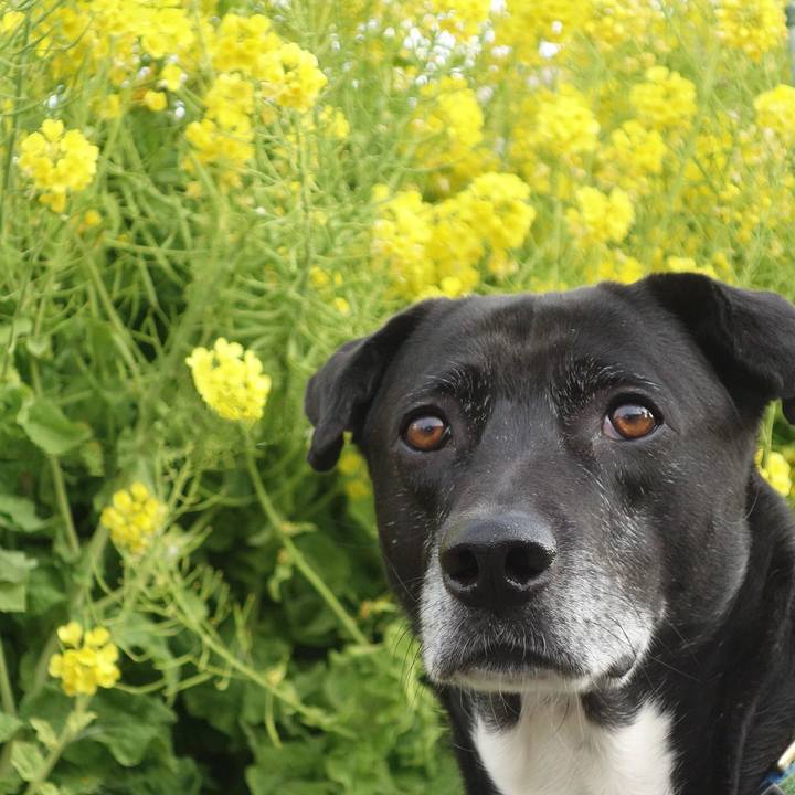 Fe656b1b a959 40c5 8348 d3f61dd06f68 1711239638531