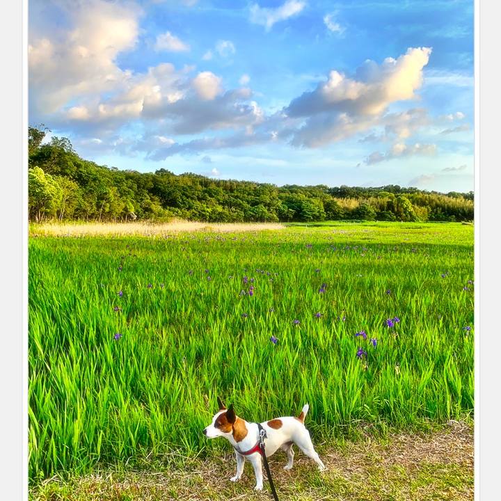 Fe658353 0dff 4468 8208 7c5e843ddbc7 1558271338750