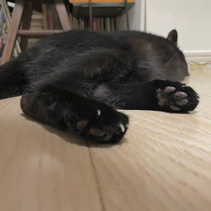 Fe659dd3 8930 403f bc85 c2e771fedbbe 1651201217897