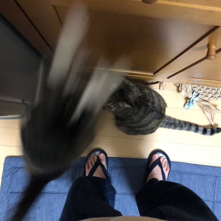 Fe65d3fd e427 4af0 a32f b0d1b1eab49a 1558209468647