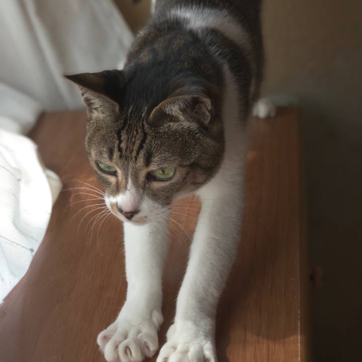 Fe65f781 07dc 450f 88b8 a813779ba005 1552438197767