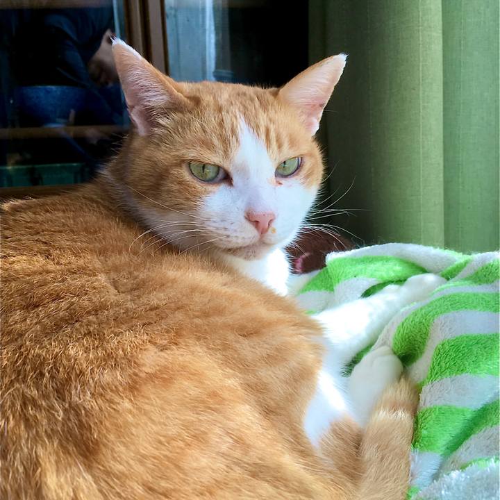 Fe663f7e f1e6 4648 8071 ff35733dd1cb 1604136833039