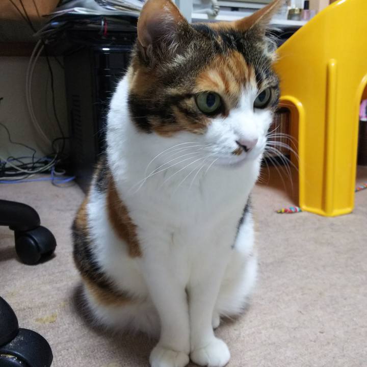 Fe6643cd 5ede 4bcf ad2e 4d5528286cb6 1556532917101