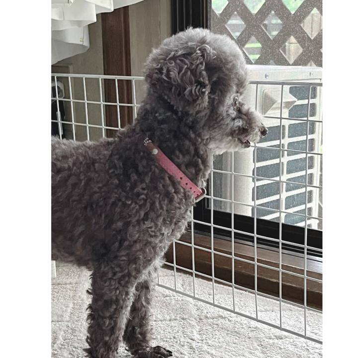 Fe664f42 d5de 46a5 9a65 c8951b6c1130 1688939581053