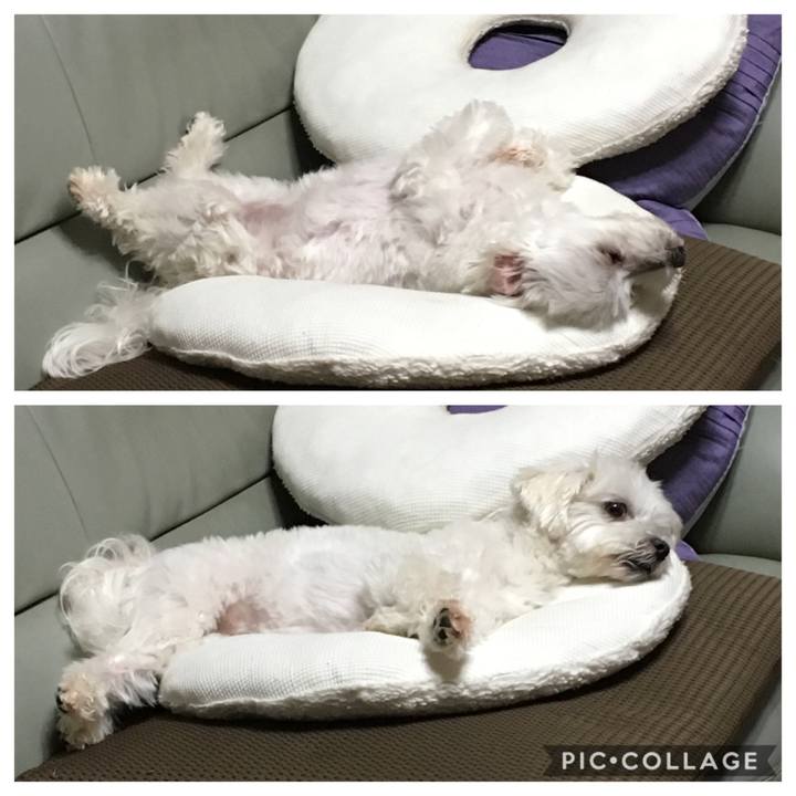 Fe665e7c 8c76 40a9 9b47 12aa78c61f5e 1560945928650