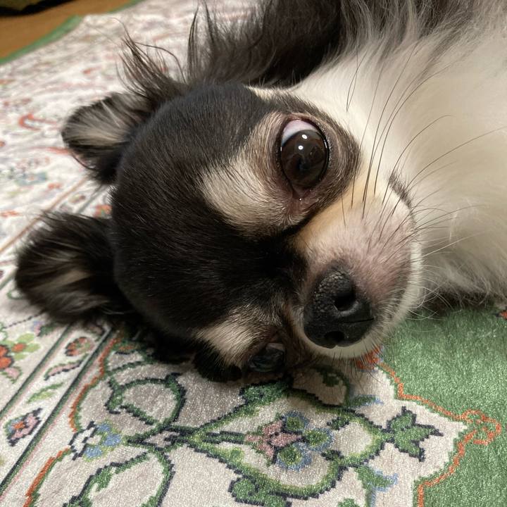 Fe66f44b 9a86 4b00 b0e4 817d10e28cfa 1661675124035