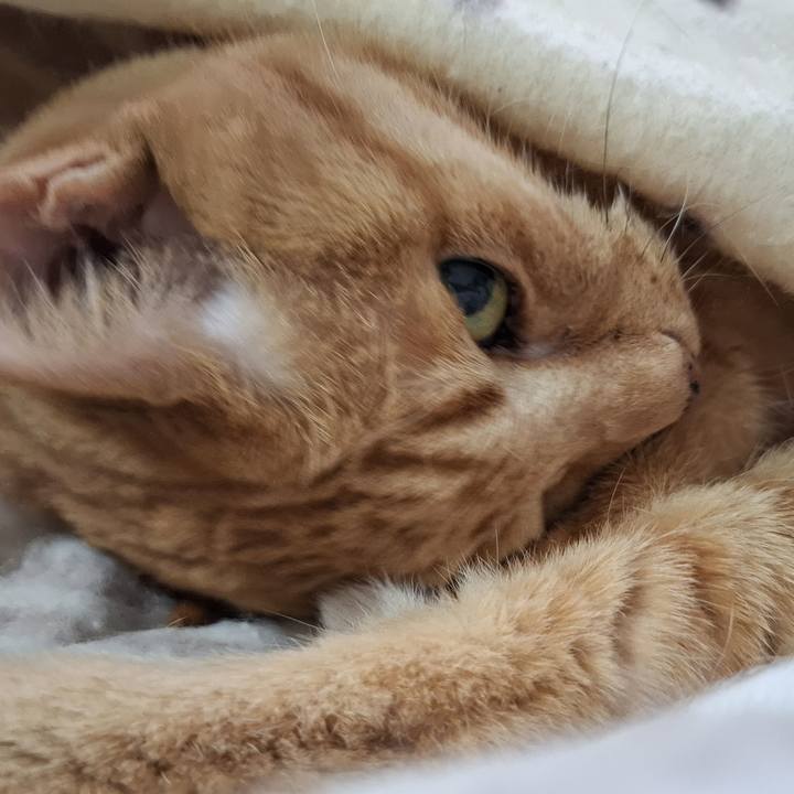 Fe674027 59c4 42ee b170 5d3b11b6cf0b 1745636881283