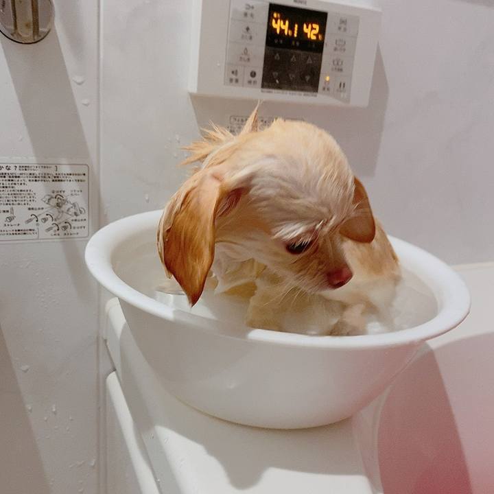 Fe674556 075b 4a89 9aeb 2a43dc03d38a 1609585453346