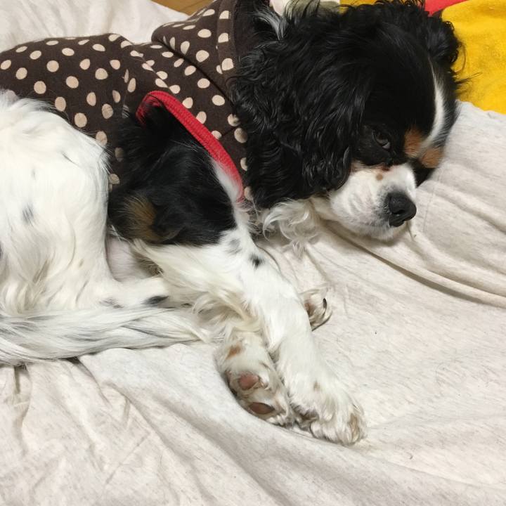 Fe67545e df6d 4bd4 9128 75703dfbcb01 1515416080120