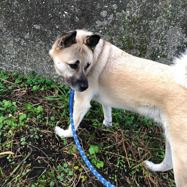 Fe676c2c 2c4c 4000 b3ab 9ac5512ee1d0 1574686031414