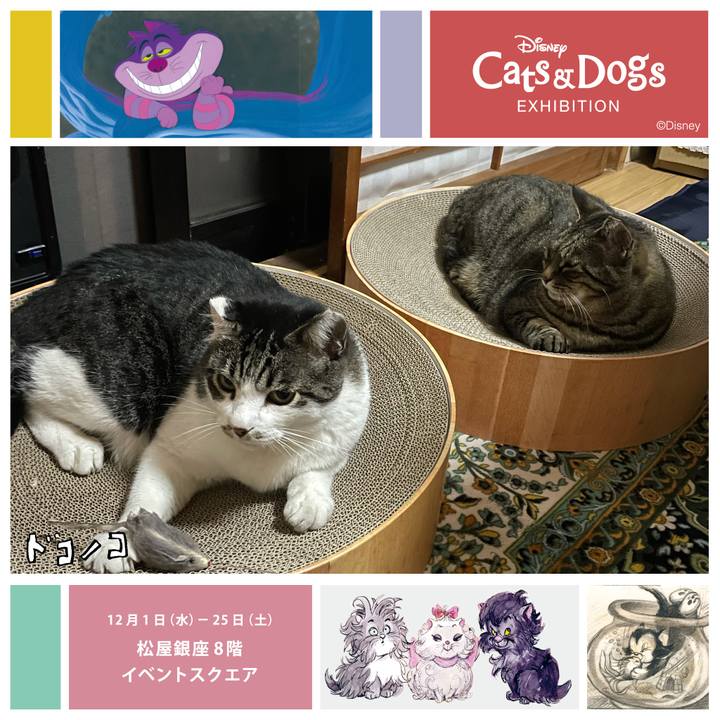 Fe67767c ee39 475f a99f fde3ca060177 1638356694758