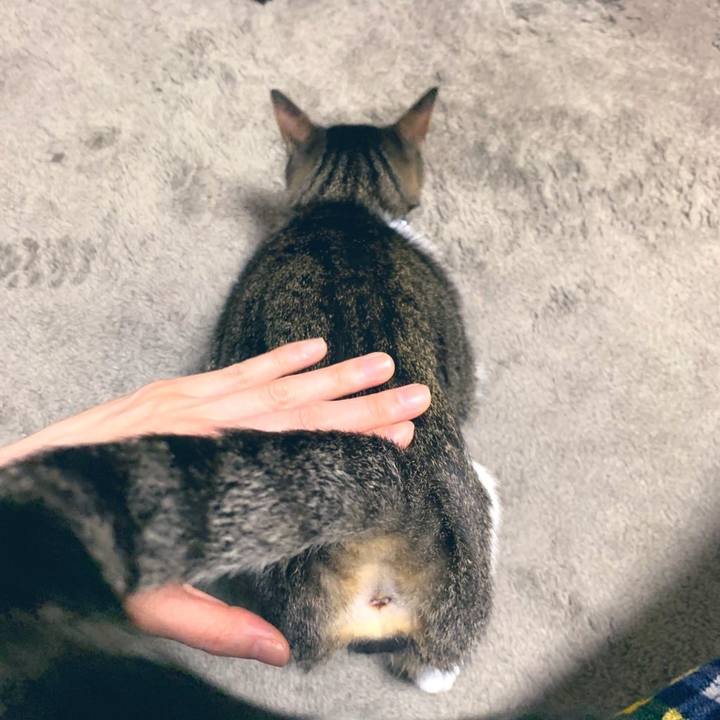 Fe679a35 35b8 48bf a494 b75171783e03 1576938885202