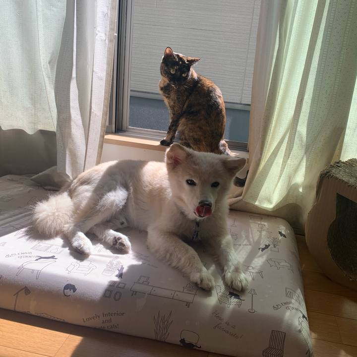 Fe67a590 2b77 46ba 9bb6 84040720ccd6 1728274803898