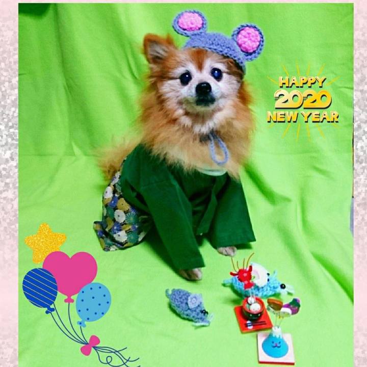 Fe67caac 680b 4d85 91e4 47567057d724 1577827013059