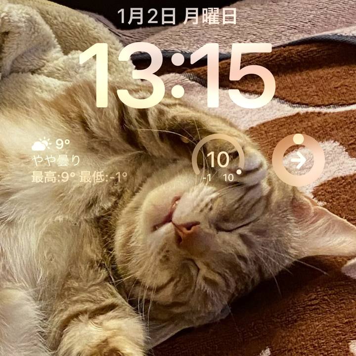 Fe67d17e c280 4fb9 aef7 0f748143c932 1672632972644