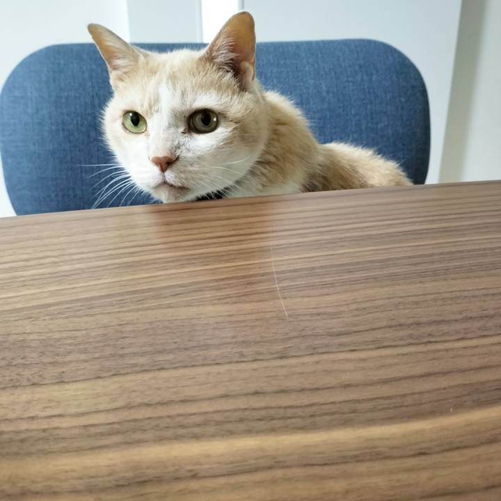 Fe681a14 80ef 4afd 9fb2 9a3947d5ed3c 1684585216020